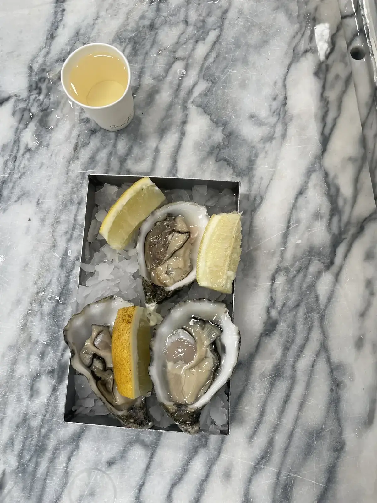 Fresh Atlantic oysters paired with Portuguese white wine during a coastal tasting experience.
