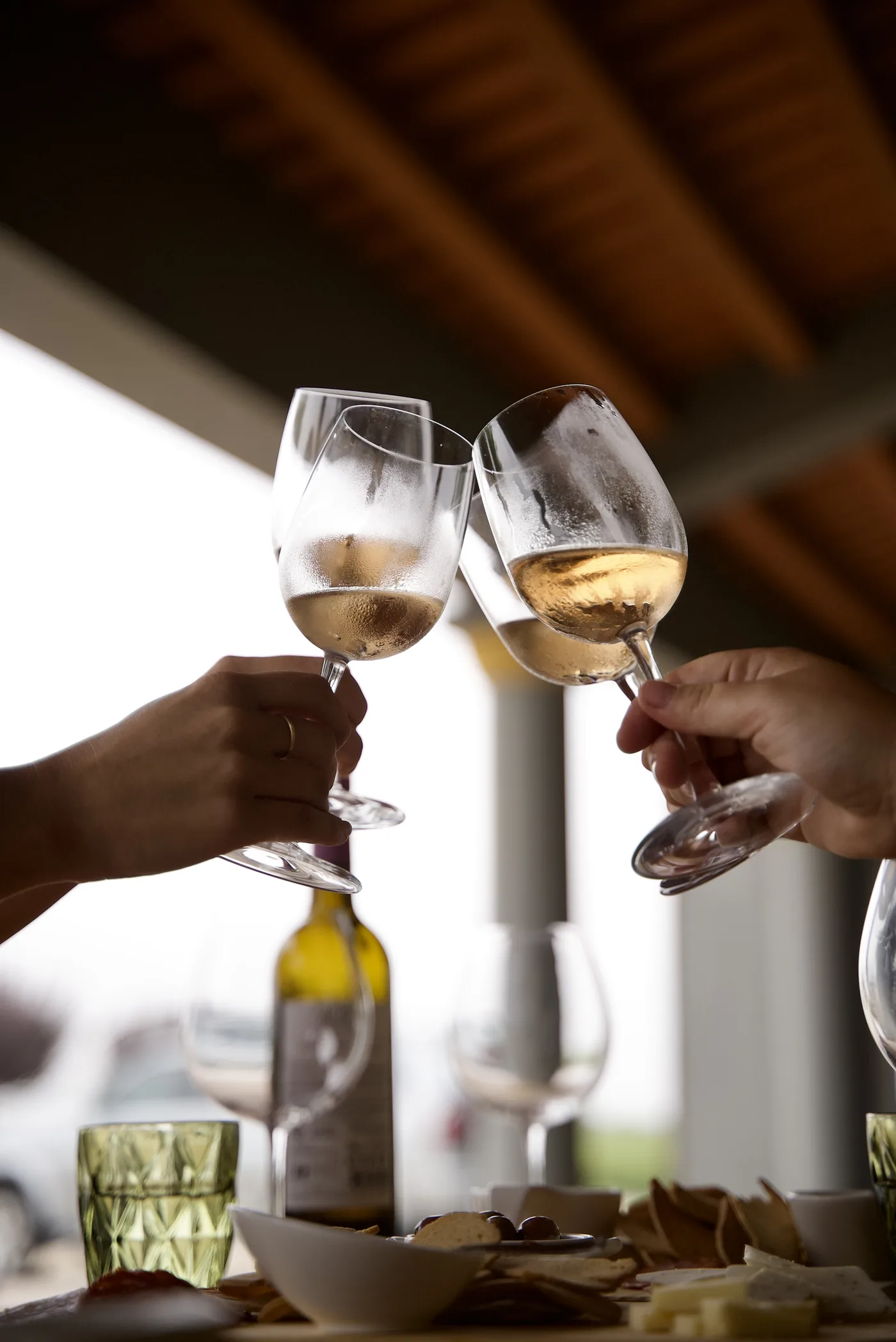 Guests raising glasses during a hosted wine tasting at a family winery in Portugal's Setúbal Peninsula.