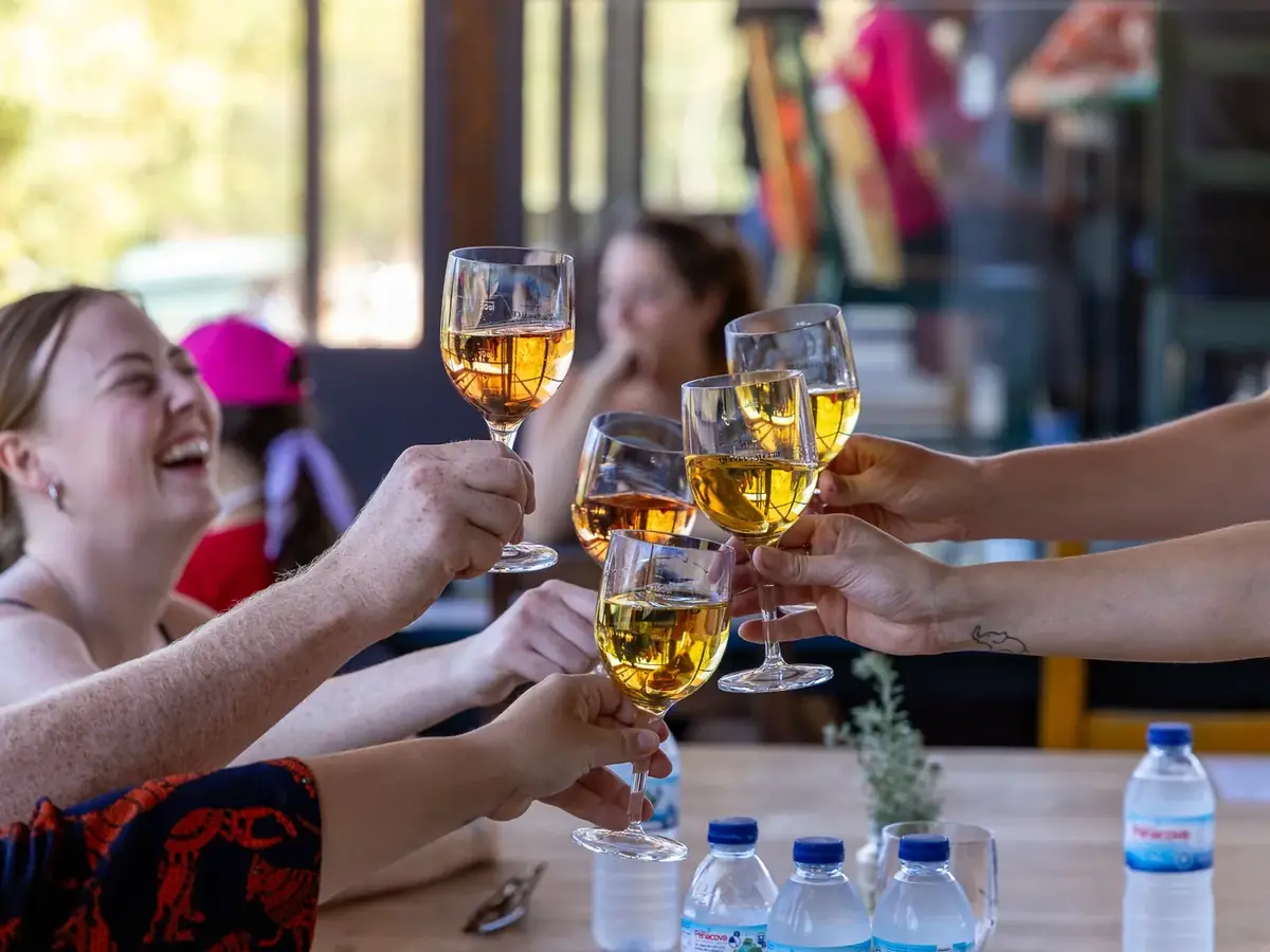 Guests toasting glasses of wine during a Setúbal wine tasting experience