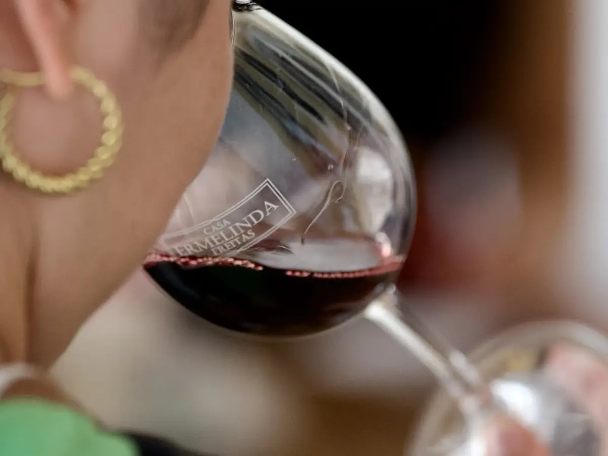 Guest tasting red wine during a seated wine tasting in the Setúbal Peninsula, Portugal
