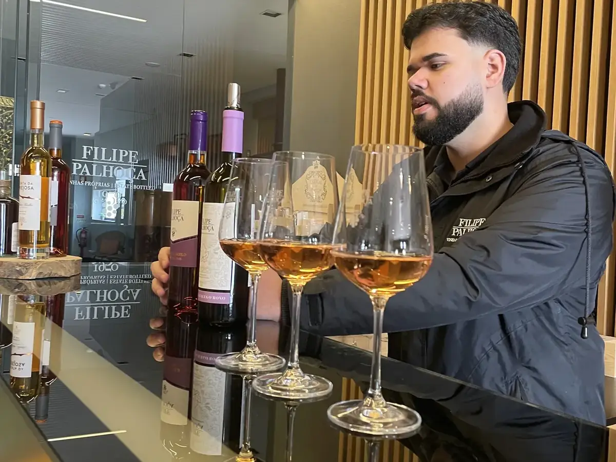 Wine educator presenting Portuguese wines during a private tasting experience in Setúbal.