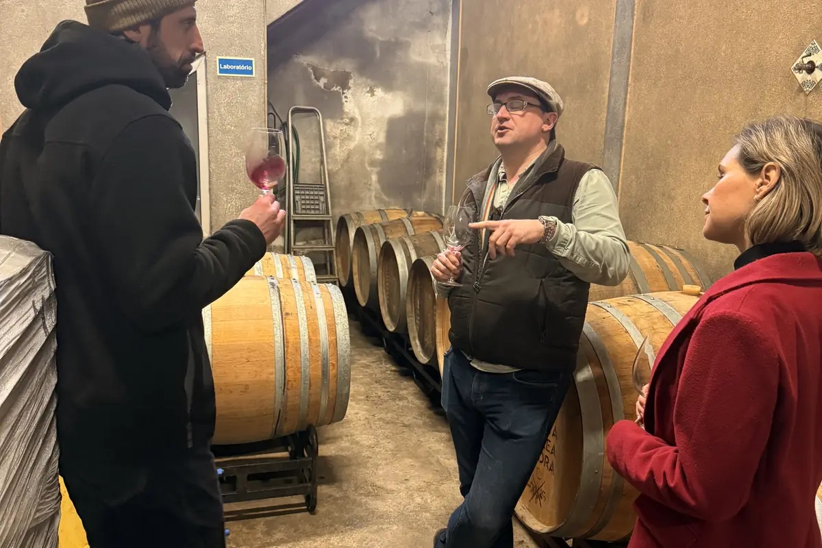 Private wine tasting with a winemaker in Torres Vedras, Portugal
