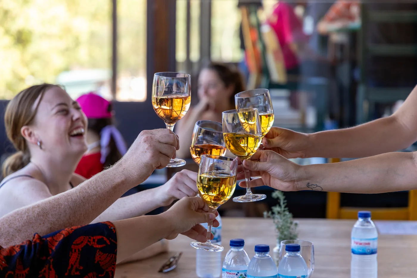 Guests enjoying a wine toast during a private full-day wine tour in the Setúbal Peninsula, Portugal.