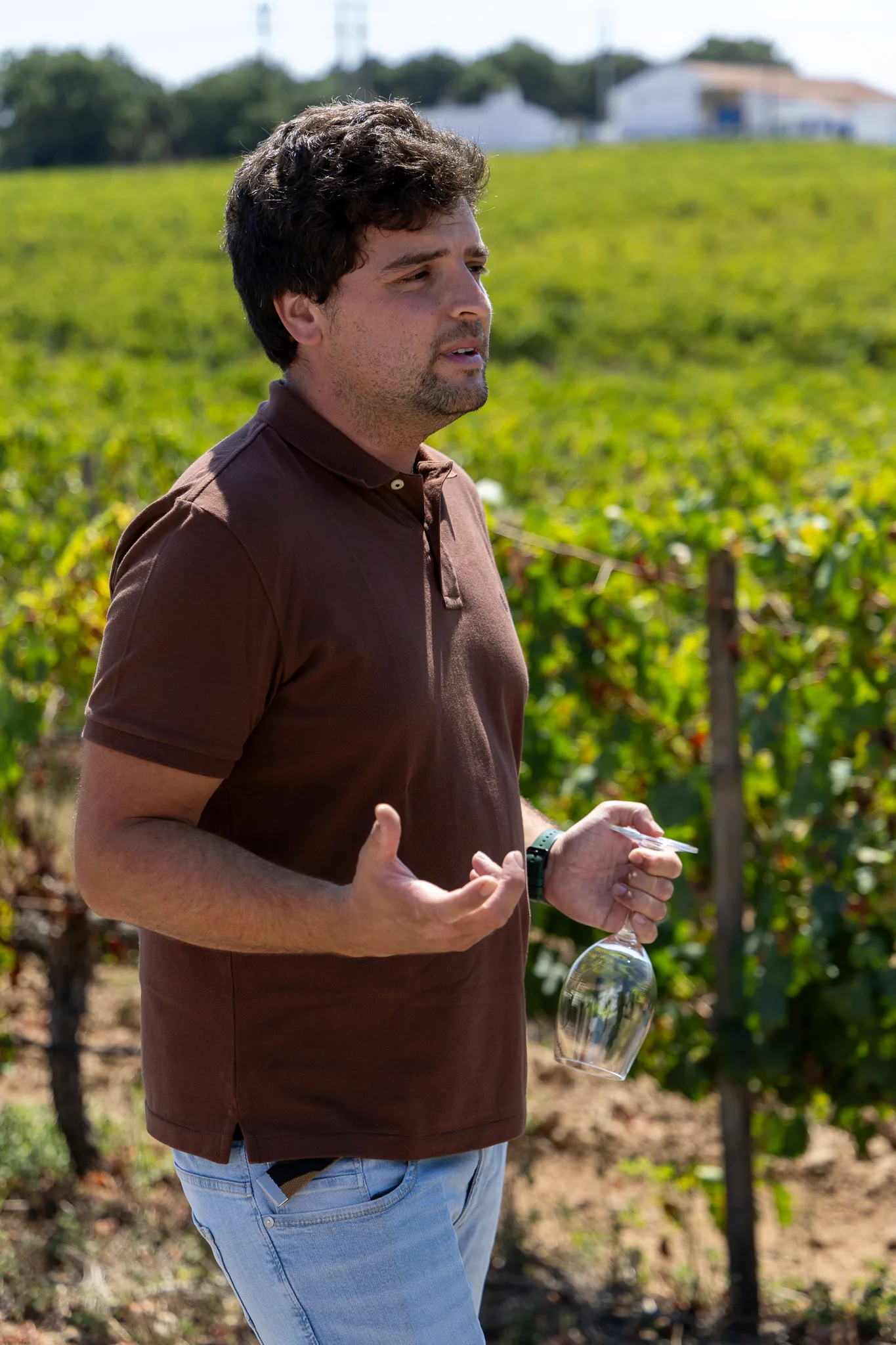 Local winemaker sharing vineyard insights during a private wine experience in Setúbal