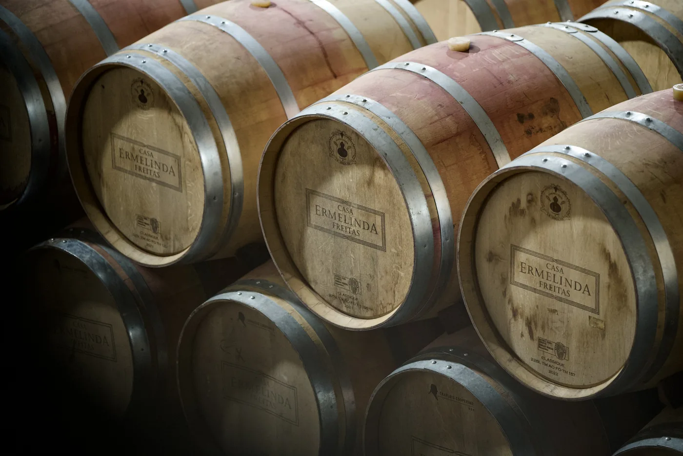 Historic wine barrels inside a winery cellar visited during a private Setúbal wine tour