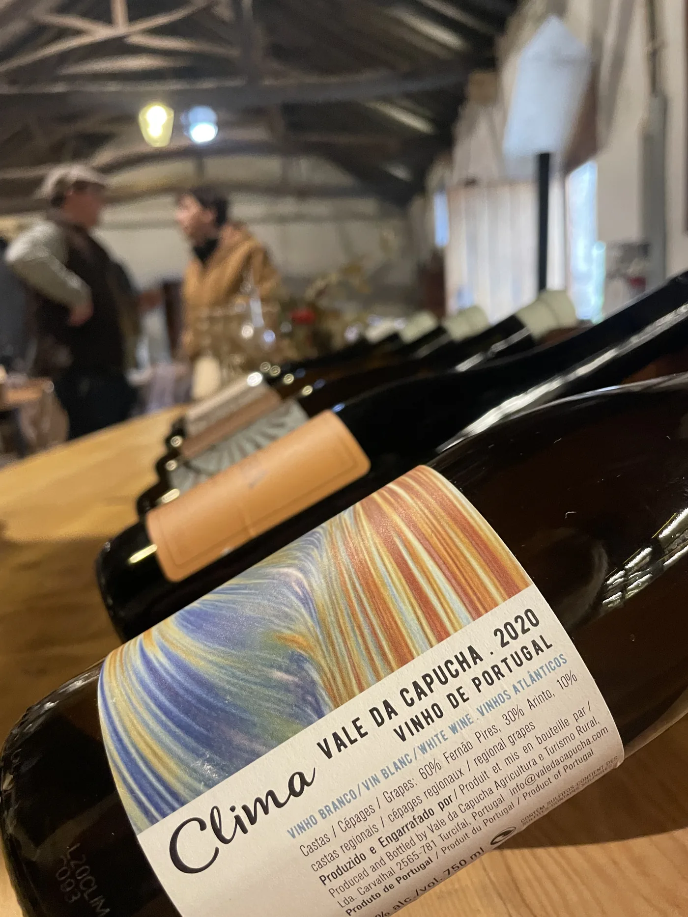 Boutique wine tasting experience at a family winery in Torres Vedras near Lisbon.